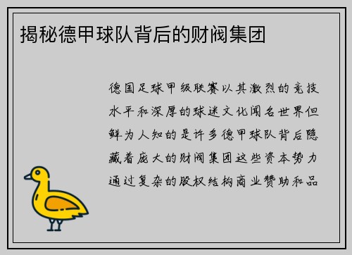 揭秘德甲球队背后的财阀集团