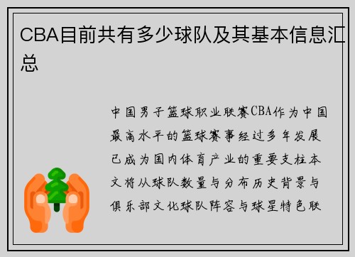 CBA目前共有多少球队及其基本信息汇总