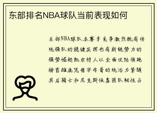 东部排名NBA球队当前表现如何
